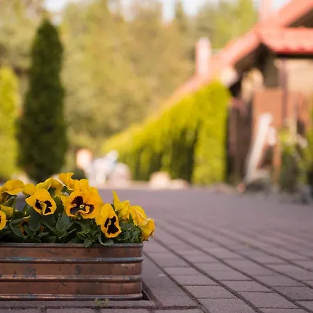 Sveciu Namai Uzkanave