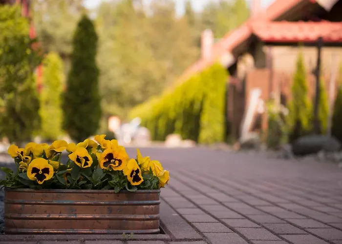 Sveciu Namai Uzkanave