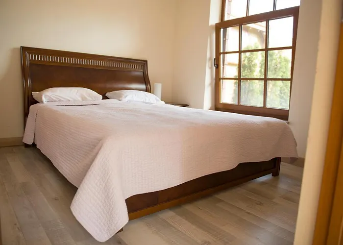 Sveciu Namai Uzkanave アパート パランガ