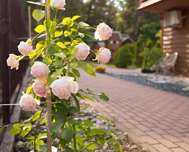 Sveciu Namai Uzkanave